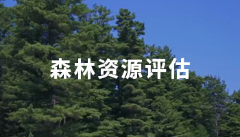 ɭ���YԴ�u(p��ng)��